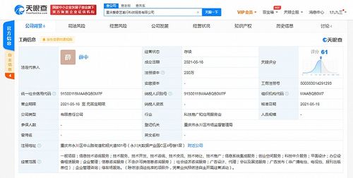 愛奇藝在重慶成立科技公司，拓展創(chuàng)業(yè)空間與信息系統(tǒng)集成服務(wù)